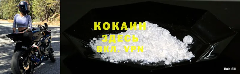 где купить наркоту  Вязники  Cocaine Эквадор 